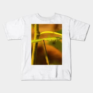 Frayed leaf looks like a centipede. Kids T-Shirt